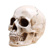 list icon