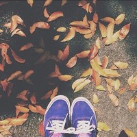 list icon