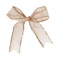 list icon
